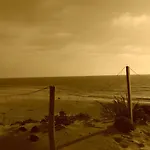 Joli Petit La Cote D'argent *
